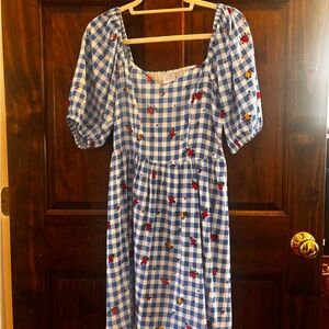 Sugarlips Blue Gingham Dress with Floral Accents